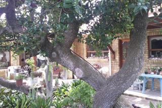 3 Bedroom Property for Sale in Stilbaai Wes Western Cape